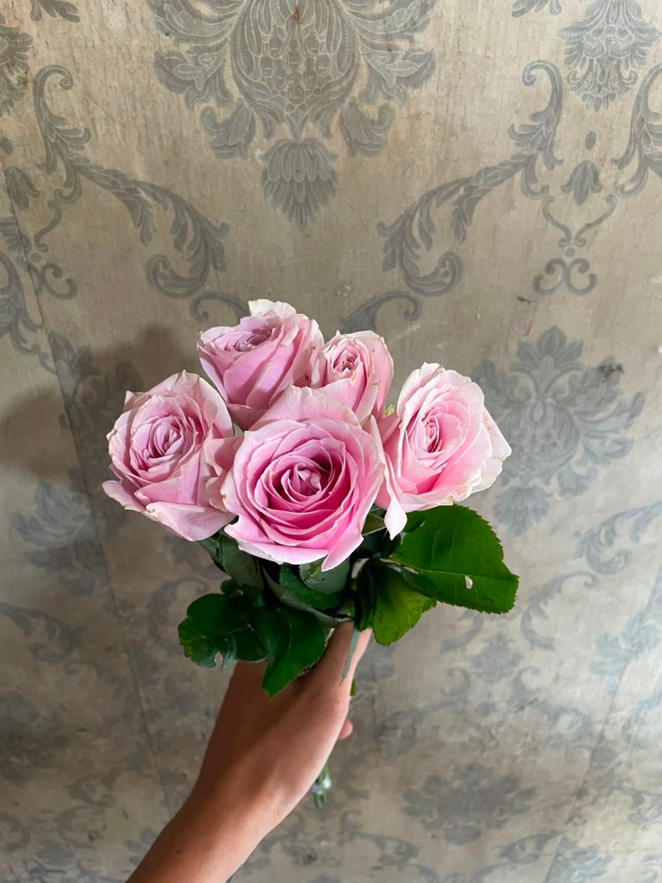 Bunga Mawar Soft Pink